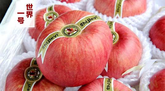 苹果‘世界1号’