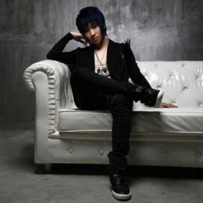 犯贱（2010年徐良、阿悄演唱歌曲）