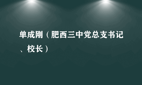 单成刚（肥西三中党总支书记、校长）