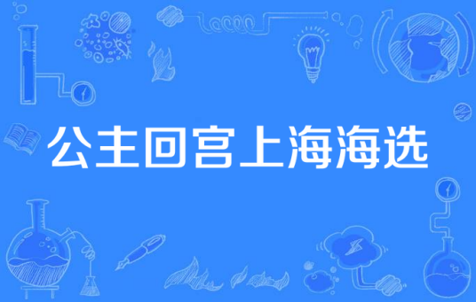 公主回宫上海海选