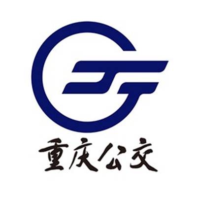 重庆市公共交通控股（集团）有限公司