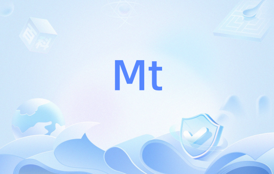 Mt（英文缩写的其他含义）