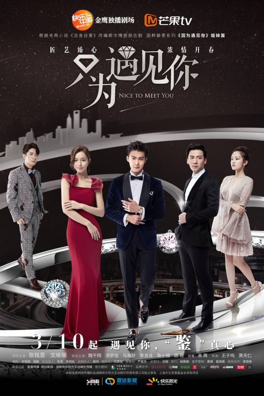 只为遇见你(2018年张铭恩、文咏珊主演的电视剧)