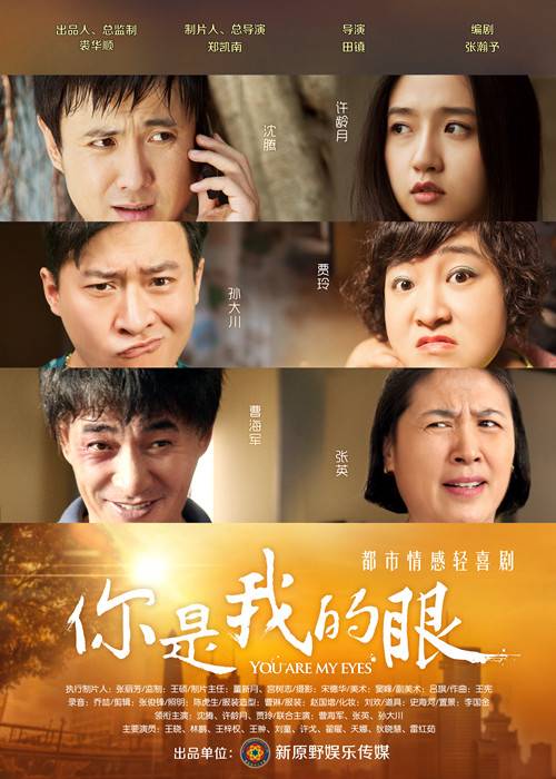 你是我的眼（2015年郑凯南执导的都市情感轻喜剧）