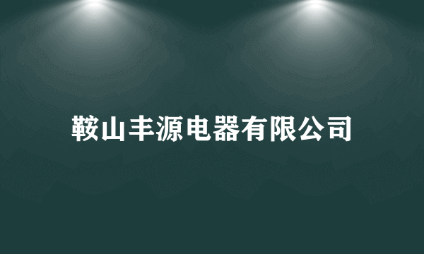 鞍山丰源电器有限公司