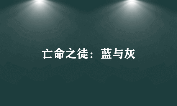 亡命之徒：蓝与灰