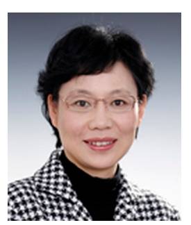 施丹（对外经济贸易大学教授）