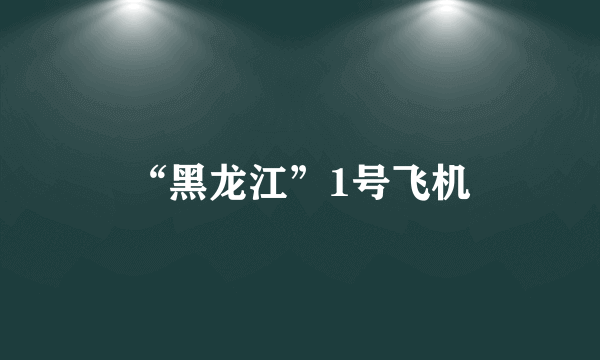 “黑龙江”1号飞机