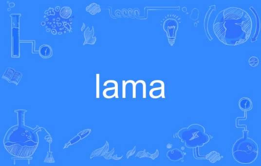 lama（英语单词）