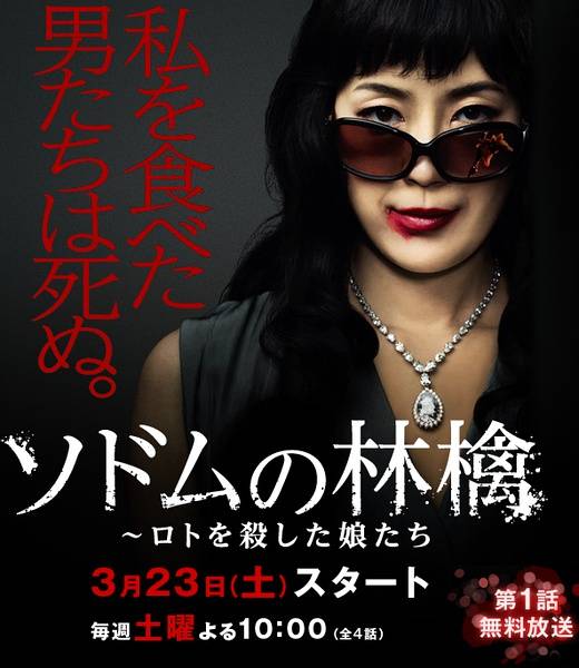 索多玛的苹果（日本2013年寺岛忍、木村文乃等主演的电视剧）