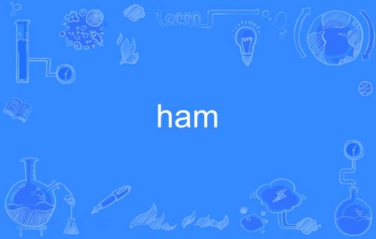 ham（英语单词）