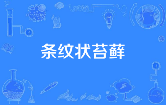 条纹状苔藓