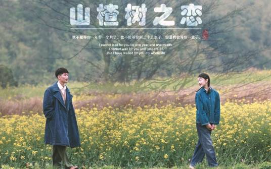 山楂树之恋（东来东往演唱歌曲）