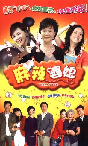 麻辣婆媳2