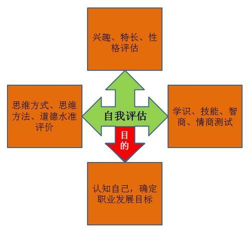 职业自我评估