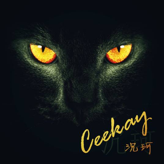 他不知道（沉珂演唱歌曲）