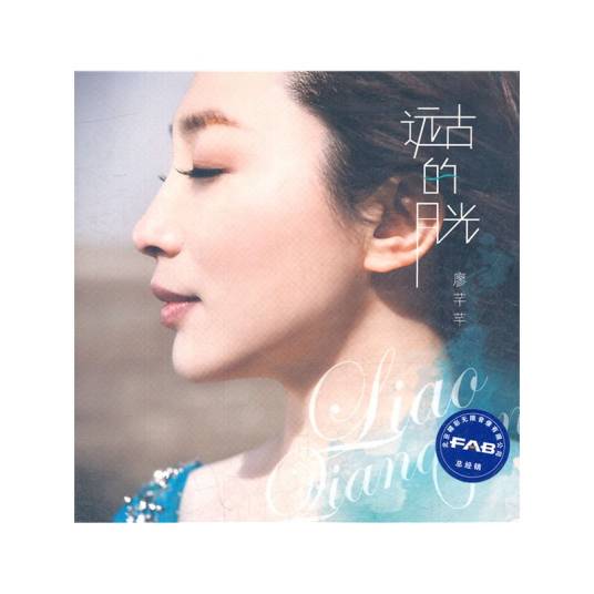 老公大人（廖芊芊演唱歌曲）