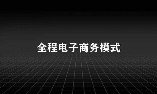 全程电子商务模式