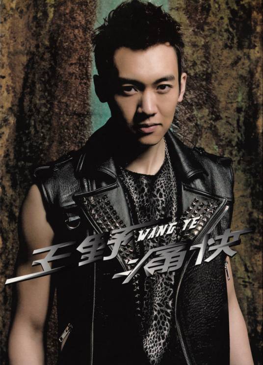 骗自己（王野演唱歌曲）