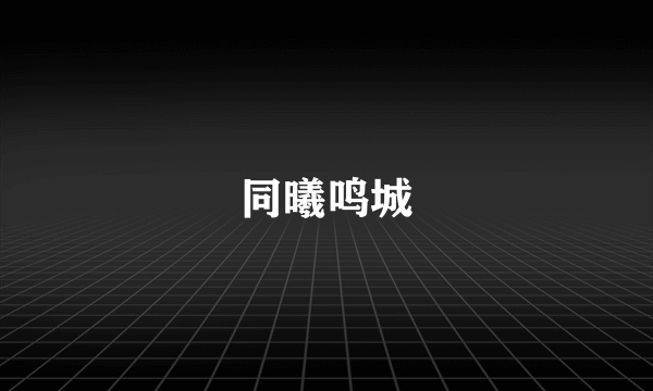 同曦鸣城