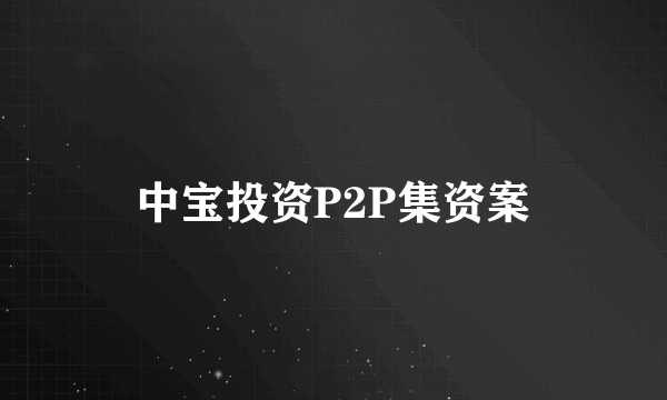 中宝投资P2P集资案