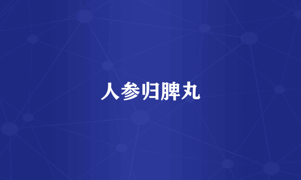 人参归脾丸