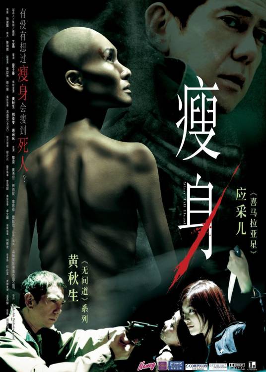 瘦身（2005年麦子善导执导的悬疑片）