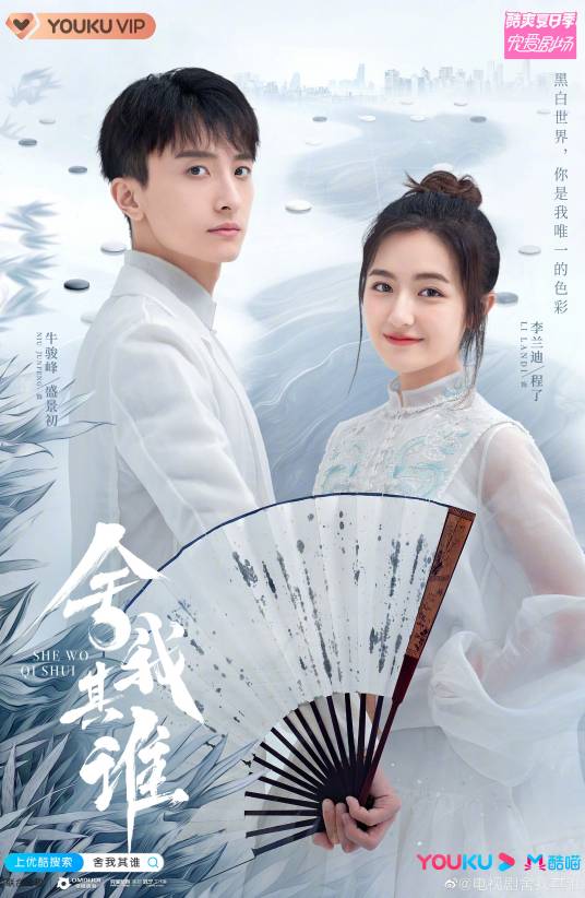 舍我其谁（2021年李兰迪、牛骏峰主演的青春爱情剧）