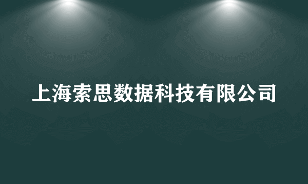 上海索思数据科技有限公司