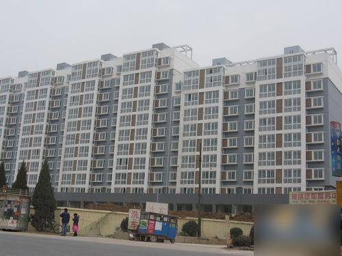 东城天骄