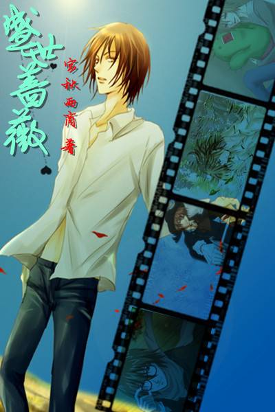 盛世蔷薇（宫秋雨商著同人言情小说）