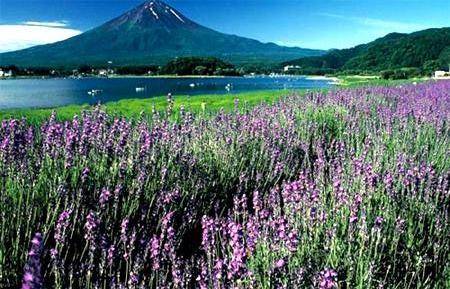 童年的诗（诗歌）