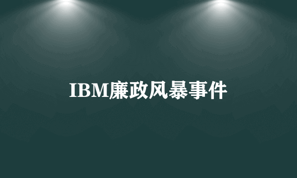 IBM廉政风暴事件