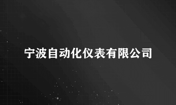 宁波自动化仪表有限公司
