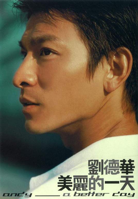 肉麻情歌（刘德华演唱歌曲）