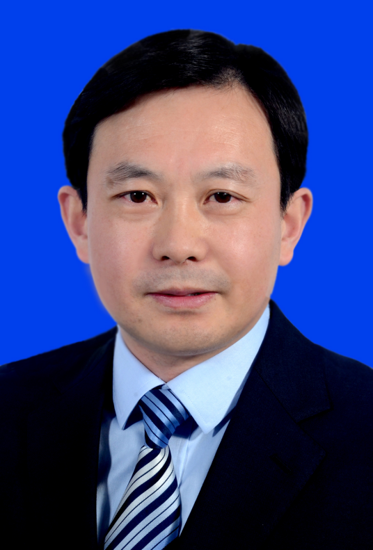 张利华（江苏省盐城市阜宁县委书记）