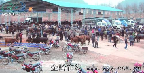 双百市场工程