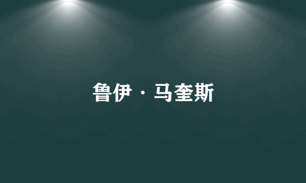 鲁伊·马奎斯