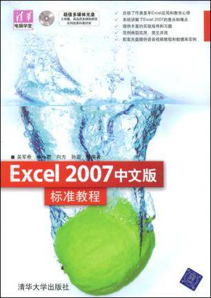 Excel 2007中文版标准教程