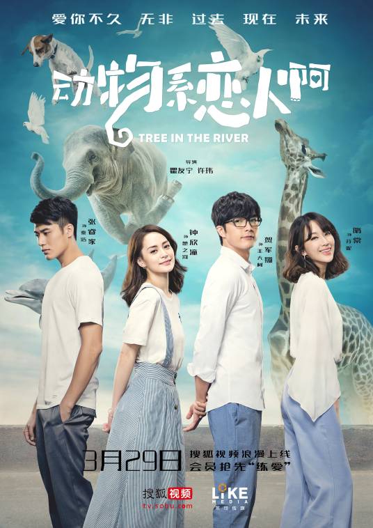 动物系恋人啊（2018年钟欣潼、贺军翔主演电视剧）