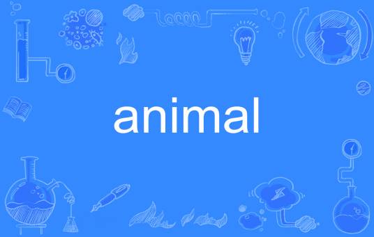 Animal（英语单词）