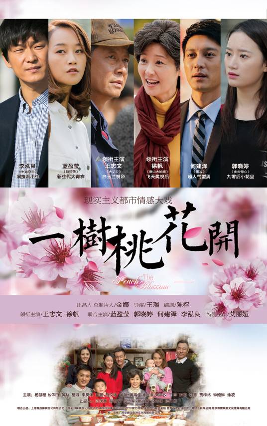 一树桃花开(2016年王瑞执导的都市情感剧)