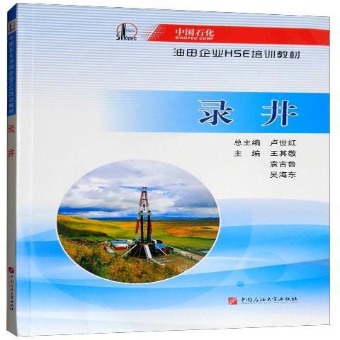 录井（2016年中国石油大学出版社出版的图书）