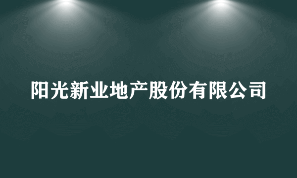 阳光新业地产股份有限公司