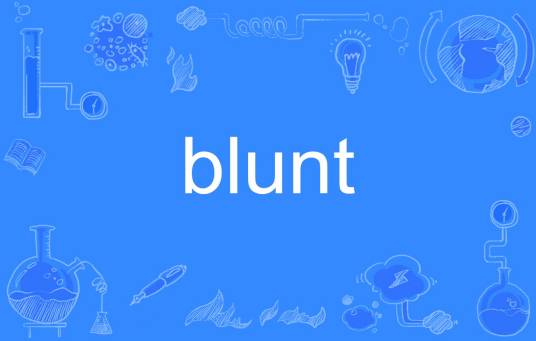 Blunt（英语单词）