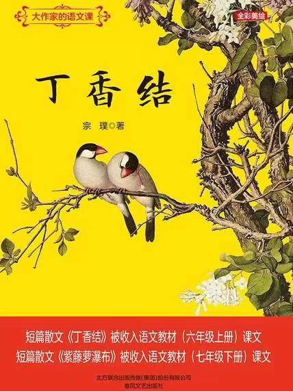 丁香结（宗璞创作的散文集）