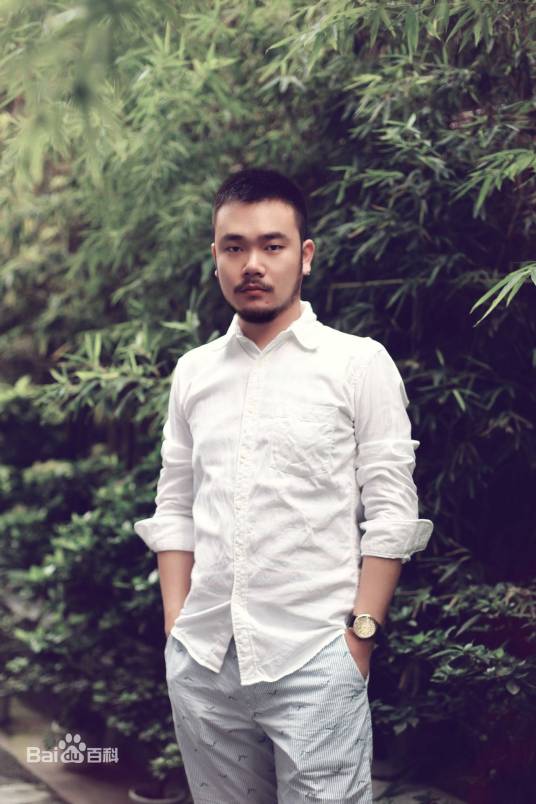 王臣（中国作家）