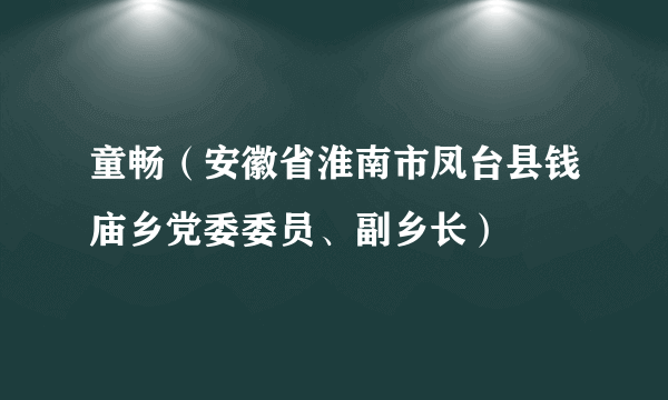 童畅（安徽省淮南市凤台县钱庙乡党委委员、副乡长）