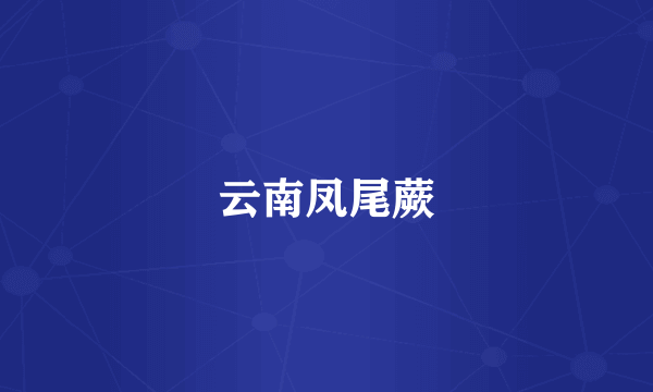 云南凤尾蕨