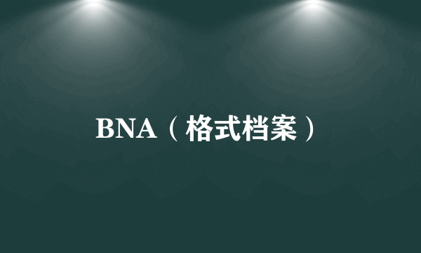BNA（格式档案）